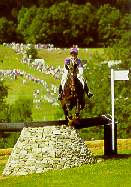 Le cross