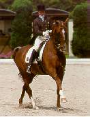 Le dressage