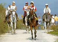 L'endurance