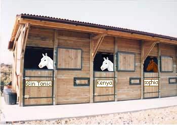 boxpouliniere.jpg