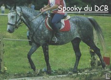 spooky.jpg