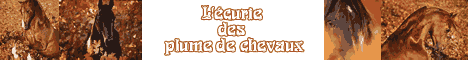 ecurie-plume-de-chevaux.gif